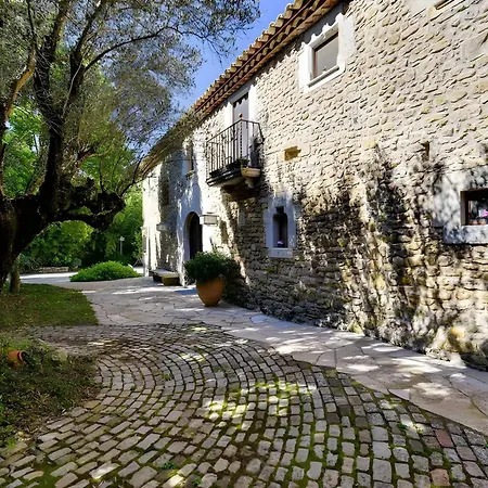 Mas Joanmiquel Olives (Catalonia)